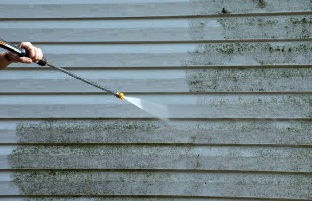 Mold Removal Process in Steele, AL