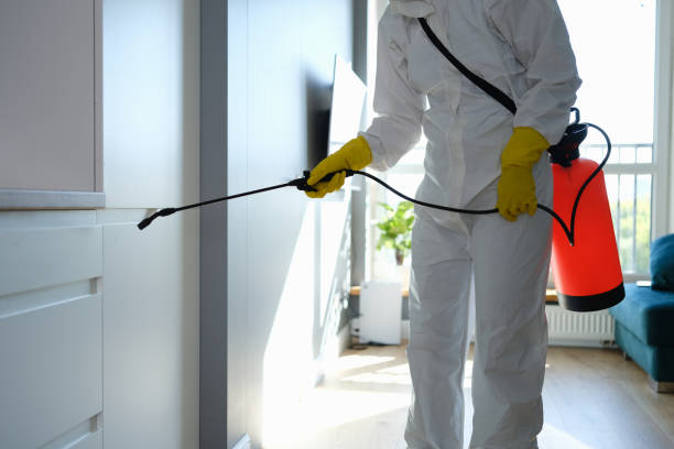 Best Commercial Mold Removal  in Steele, AL